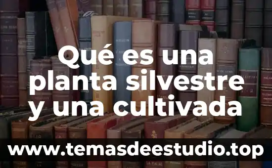 Planta de menta que es 8 Qué es una planta silvestre y una cultivada
