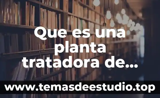 Que es lo que tiene que tener un ensayo 5 Que es una planta tratadora de agua yahoo