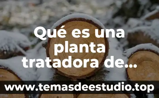 Sistema de manejo de aguas residuales que es 4 Qué es una planta tratadora de aguas negras o residuales