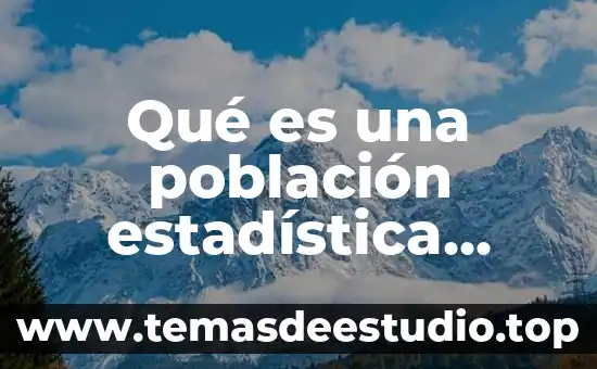 Que es la cultura en una sociedad y ejemplo 5 Qué es una población estadística ejemplo