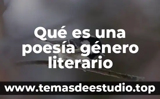 Que es la subjetividad del ensayo literario 6 Qué es una poesía género literario