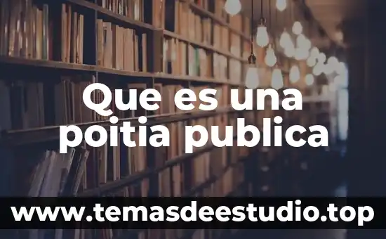 Que es una poitia publica