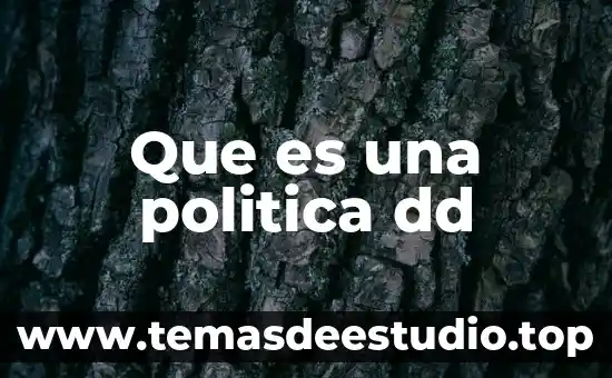 Que es mejor ponerse bracket dd arriba primero 4 Que es una politica dd