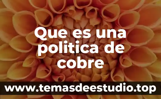 Que es decision politica 8 Que es una politica de cobre