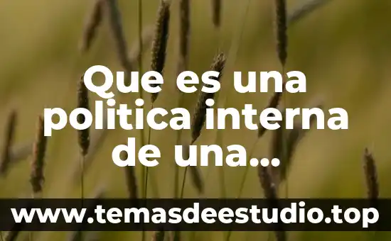 Que es una politica interna de una empresa