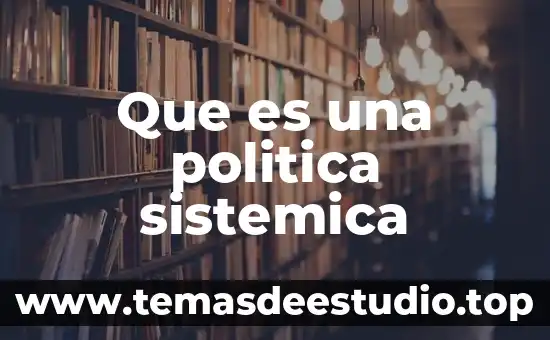 Que es significa interacción sistémica 7 Que es una politica sistemica