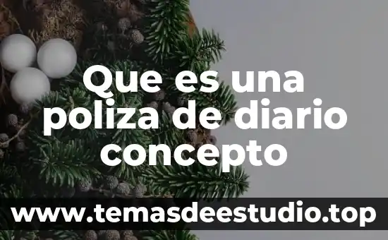 Que es una poliza de diario concepto