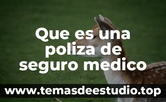 Qué es retención de líquidos nombre médico 6 Que es una poliza de seguro medico
