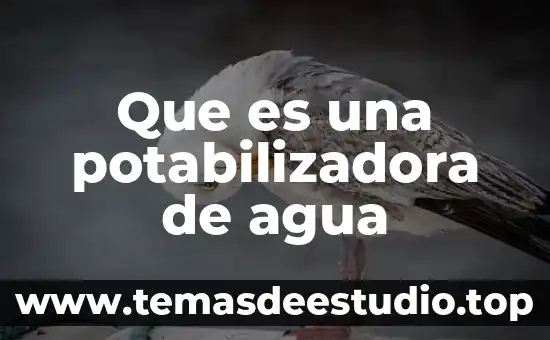 Que es una potabilizadora de agua