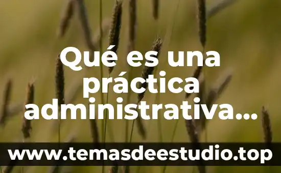 Que es control de gestion administrativa 5 Qué es una práctica administrativa significado