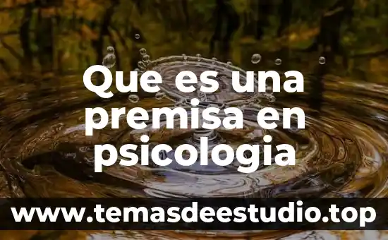 Qué es una premisa mayor en matemáticas 5 Que es una premisa en psicologia