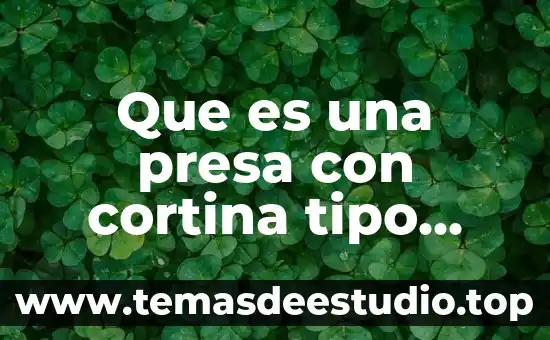 Que es el tipo de arte 5 Que es una presa con cortina tipo arco