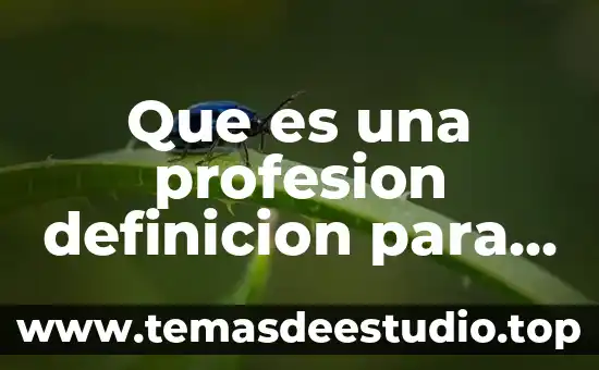 Qué es ácido definición y características 8 Que es una profesion definicion para niños