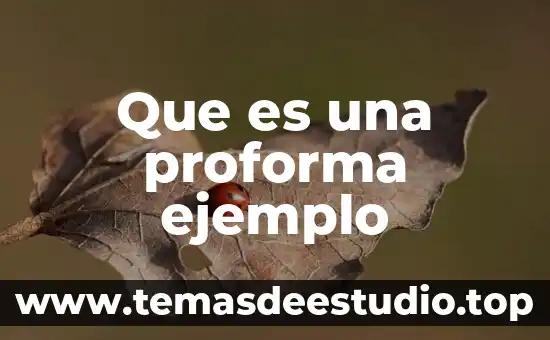 Que es ser buena o mala persona 3 Que es una proforma ejemplo