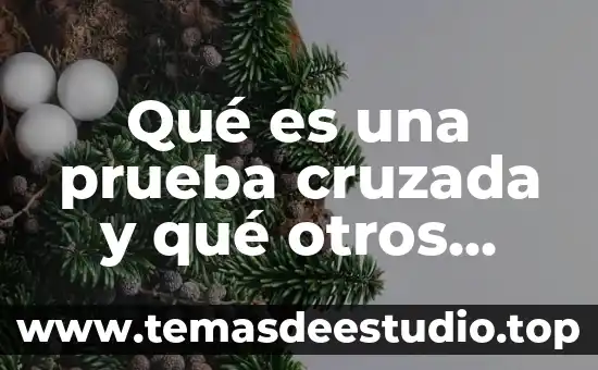 Que es prueba proctor 4 Qué es una prueba cruzada y qué otros nombres recibe