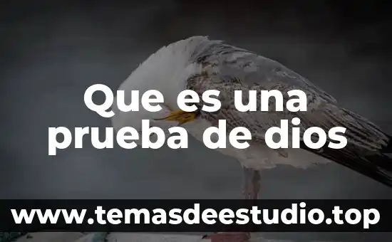 Que es la prueba del concepto 7 Que es una prueba de dios