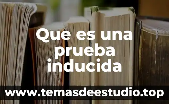 Que es una terminal ultraligera 6 Que es una prueba inducida