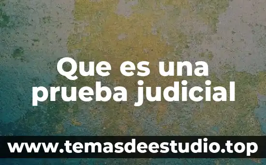 Que es un mecanismo judicial 4 Que es una prueba judicial