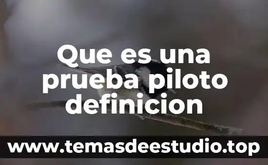 Definicion de cruzo que es significado y consepto 8 Que es una prueba piloto definicion