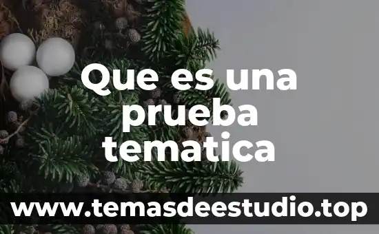 Baby test prueba de embarazo que es 3 Que es una prueba tematica