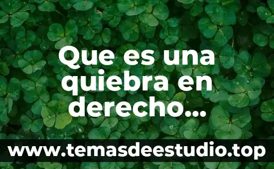 Qué es venta o traspaso de un negocio 6 Que es una quiebra en derecho mercantil