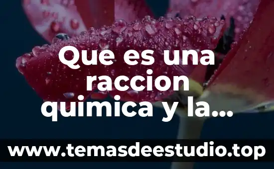 Qué es materia prima comestible 4 Que es una raccion quimica y la materia prima