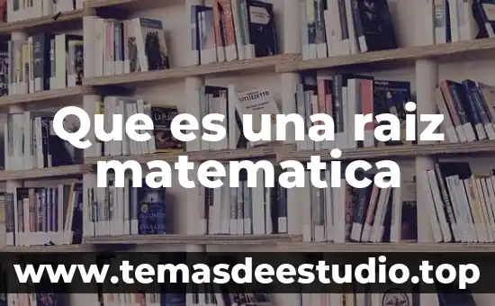 Que es una raiz matematica