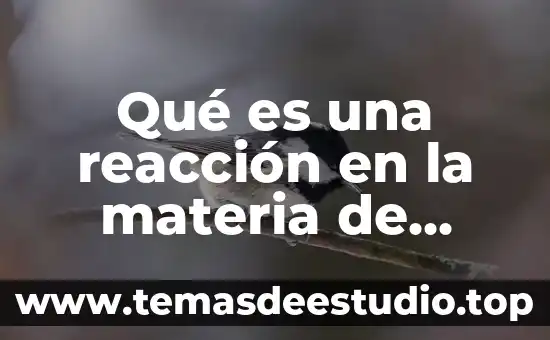 Conclusión de que es una reacción química 3 Qué es una reacción en la materia de química