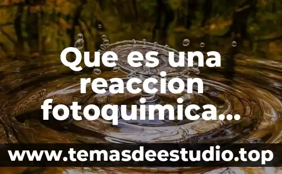 Conclusión de que es una reacción química 8 Que es una reaccion fotoquimica yahoo