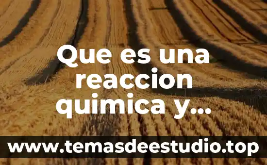 Que es un cosmético y que tipo de reacción es 5 Que es una reaccion quimica y como esta cponstoituida
