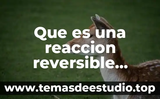 Conclusión de que es una reacción química 5 Que es una reaccion reversible yahoo