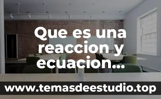 Qué es una ecuación diferencial concepto 3 Que es una reaccion y ecuacion quimica