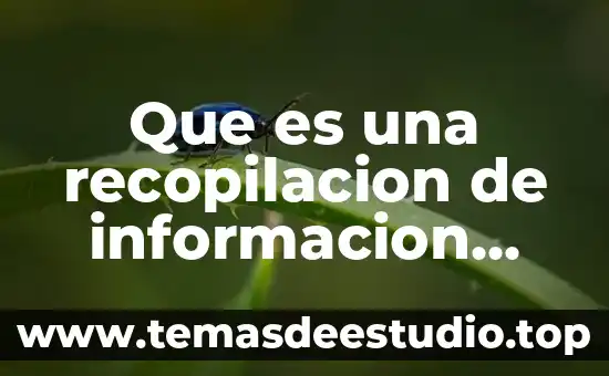 Que es un programa de necesidades arquitectonico 7 Que es una recopilacion de informacion para deteccion de necesidades