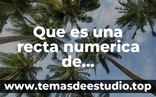 Que es un descendiente en linea recta 8 Que es una recta numerica de denominador