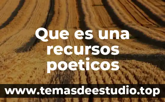 Que es razonamiento de recursos 7 Que es una recursos poeticos