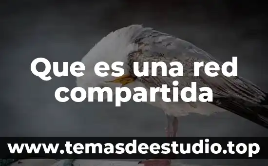 Que es una red compartida