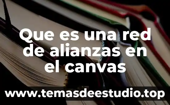 Que es un operador de red 8 Que es una red de alianzas en el canvas