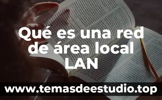 Qué es un parámetro de red 4 Qué es una red de área local LAN