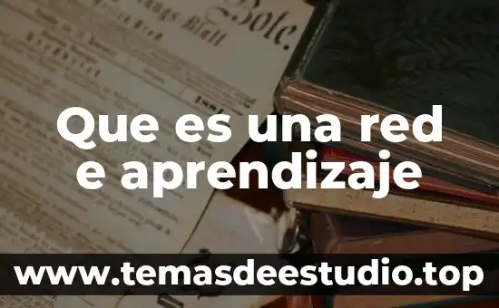 Que es una red e aprendizaje