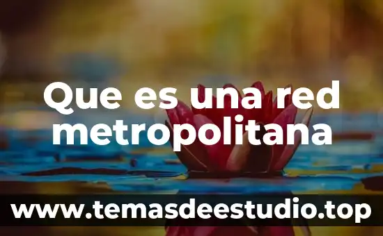 Que es una red metropolitana