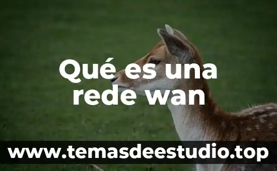 Qué es las funciones del lenguaje lógica 6 Qué es una rede wan