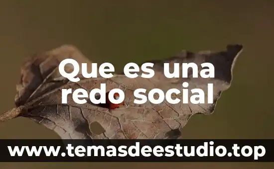 Que es estructura organizacional dinamica social 6 Que es una redo social