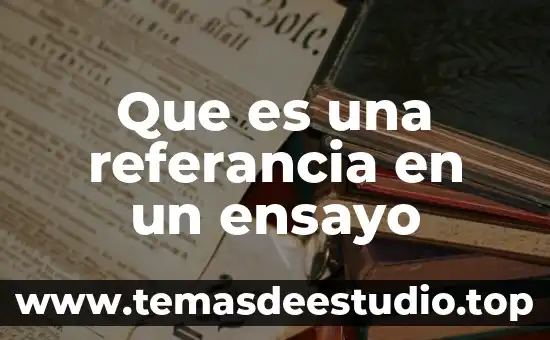 Que es un ensayo de un texto 6 Que es una referancia en un ensayo