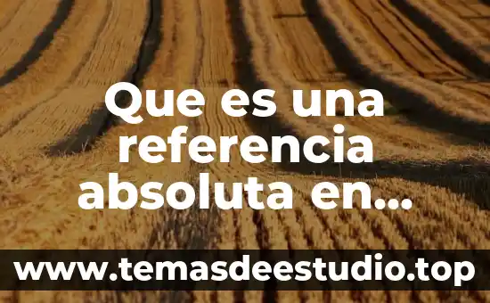 Que es una referencia absoluta en excel ejemplos