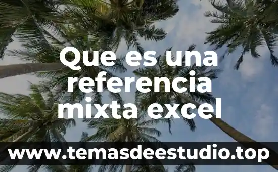 Que es una referencia mixta excel