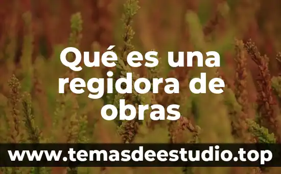 Que es el argumento de un plano 2d 3 Qué es una regidora de obras
