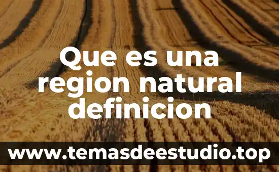 Que es el medio fisico natural y artificial 3 Que es una region natural definicion