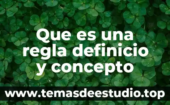 Que es ser racializado 5 Que es una regla definicio y concepto