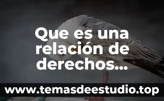 Que es una relación de derechos humanos cndh