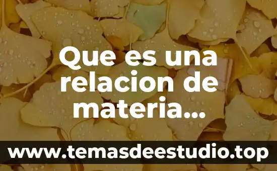 Qué es el patrón básico de movimiento 7 Que es una relacion de materia energia y movimiento